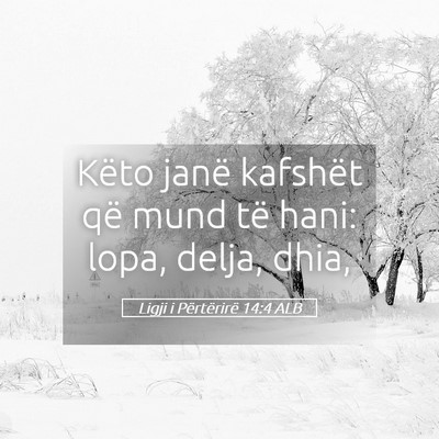 Picture 05 - Ligji i Përtërirë 14:4 ALB - Këto janë kafshët që mund të hani: lopa, - Bible Verse Picture