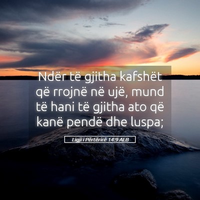 Picture 05 - Ligji i Përtërirë 14:9 ALB - Ndër të gjitha kafshët që rrojnë në ujë, - Bible Verse Picture