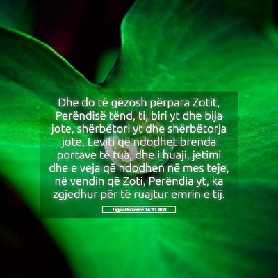 Picture 05 - Ligji i Përtërirë 16:11 ALB - Dhe do të gëzosh përpara Zotit, Perëndisë - Bible Verse Picture