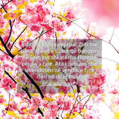 Picture 05 - Ligji i Përtërirë 2:22 ALB - ashtu si kishte vepruar Zoti me pasardhësit e - Bible Verse Picture