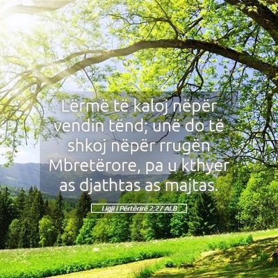 Picture 05 - Ligji i Përtërirë 2:27 ALB - Lërmë të kaloj nëpër vendin tënd; unë do - Bible Verse Picture