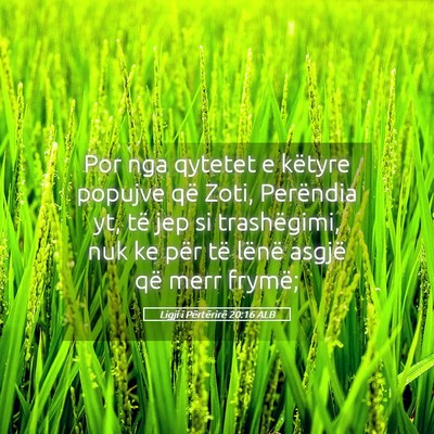 Picture 05 - Ligji i Përtërirë 20:16 ALB - Por nga qytetet e këtyre popujve që Zoti, - Bible Verse Picture