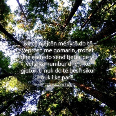 Picture 05 - Ligji i Përtërirë 22:3 ALB - Në të njëjtën mënyrë do të veprosh me - Bible Verse Picture