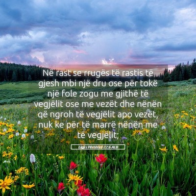 Picture 05 - Ligji i Përtërirë 22:6 ALB - Në rast se rrugës të rastis të gjesh mbi një - Bible Verse Picture