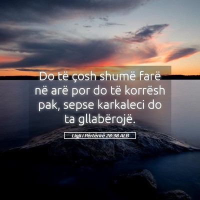 Picture 05 - Ligji i Përtërirë 28:38 ALB - Do të çosh shumë farë në arë por do të - Bible Verse Picture