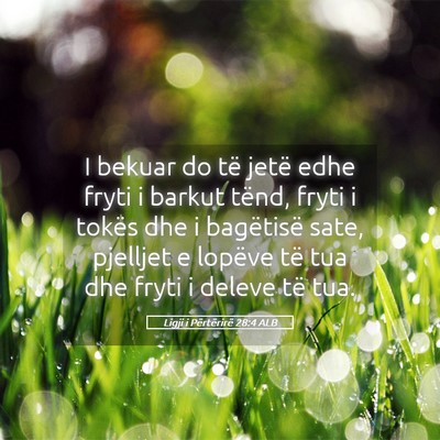 Picture 05 - Ligji i Përtërirë 28:4 ALB - I bekuar do të jetë edhe fryti i barkut tënd, - Bible Verse Picture
