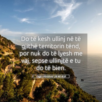 Picture 05 - Ligji i Përtërirë 28:40 ALB - Do të kesh ullinj në të gjithë territorin - Bible Verse Picture
