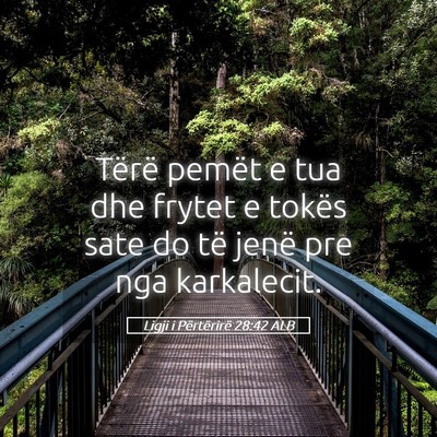 Picture 05 - Ligji i Përtërirë 28:42 ALB - Tërë pemët e tua dhe frytet e tokës sate do - Bible Verse Picture