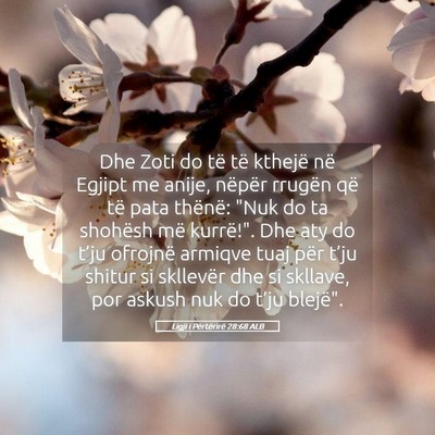 Picture 05 - Ligji i Përtërirë 28:68 ALB - Dhe Zoti do të të kthejë në Egjipt me anije, - Bible Verse Picture