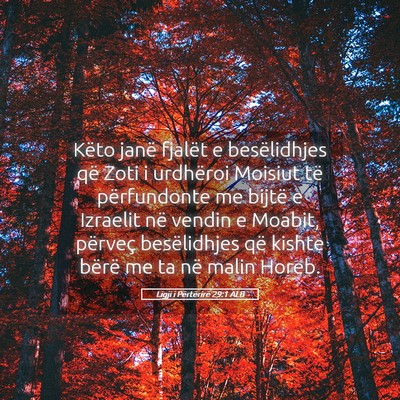 Picture 05 - Ligji i Përtërirë 29:1 ALB - Këto janë fjalët e besëlidhjes që Zoti i - Bible Verse Picture