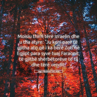 Picture 05 - Ligji i Përtërirë 29:2 ALB - Moisiu thirri tërë Izraelin dhe u tha atyre: - Bible Verse Picture