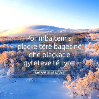 Picture 05 - Ligji i Përtërirë 3:7 ALB - Por mbajtëm si plaçkë tërë bagëtinë dhe - Bible Verse Picture