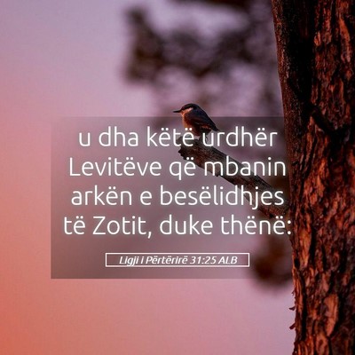 Picture 05 - Ligji i Përtërirë 31:25 ALB - u dha këtë urdhër Levitëve që mbanin arkën - Bible Verse Picture