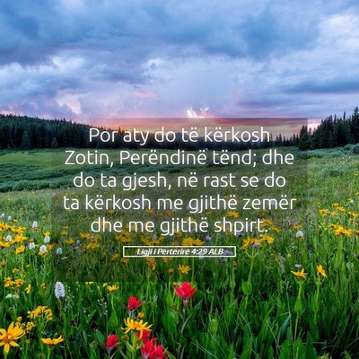 Picture 05 - Ligji i Përtërirë 4:29 ALB - Por aty do të kërkosh Zotin, Perëndinë tënd; - Bible Verse Picture