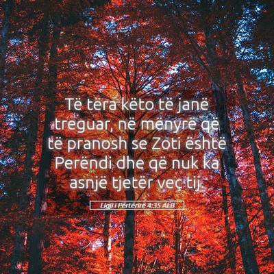 Picture 05 - Ligji i Përtërirë 4:35 ALB - Të tëra këto të janë treguar, në mënyrë - Bible Verse Picture
