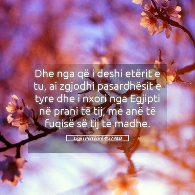 Picture 05 - Ligji i Përtërirë 4:37 ALB - Dhe nga që i deshi etërit e tu, ai zgjodhi - Bible Verse Picture