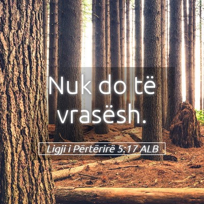 Picture 05 - Ligji i Përtërirë 5:17 ALB - Nuk do të - Bible Verse Picture