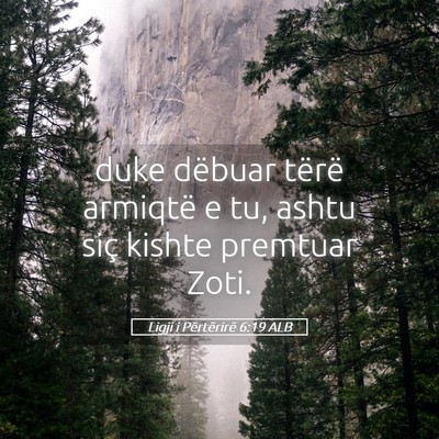 Picture 05 - Ligji i Përtërirë 6:19 ALB - duke dëbuar tërë armiqtë e tu, ashtu siç - Bible Verse Picture