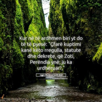 Picture 05 - Ligji i Përtërirë 6:20 ALB - Kur në të ardhmen biri yt do të të pyesë: - Bible Verse Picture