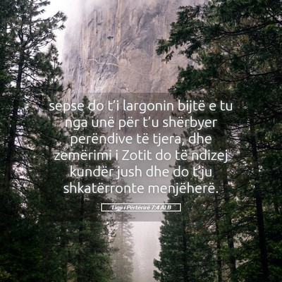 Picture 05 - Ligji i Përtërirë 7:4 ALB - sepse do t’i largonin bijtë e tu nga unë për - Bible Verse Picture