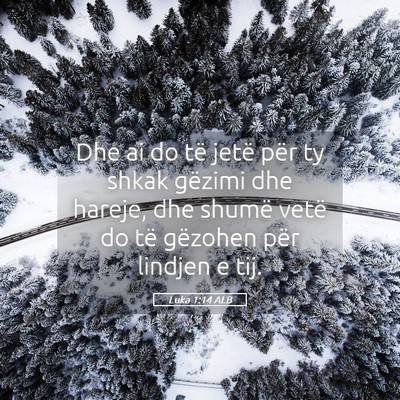 Picture 05 - Luka 1:14 ALB - Dhe ai do të jetë për ty shkak gëzimi dhe - Bible Verse Picture