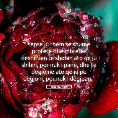 Picture 05 - Luka 10:24 ALB - sepse ju them se shumë profetë dhe mbretër - Bible Verse Picture