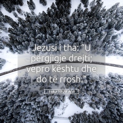 Picture 05 - Luka 10:28 ALB - Jezusi i tha: “U përgjigje drejti; vepro - Bible Verse Picture