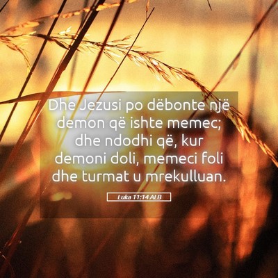 Picture 05 - Luka 11:14 ALB - Dhe Jezusi po dëbonte një demon që ishte - Bible Verse Picture