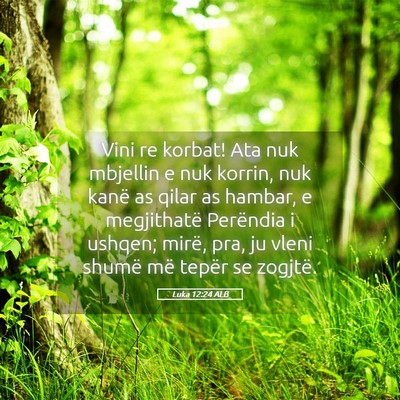 Picture 05 - Luka 12:24 ALB - Vini re korbat! Ata nuk mbjellin e nuk korrin, - Bible Verse Picture