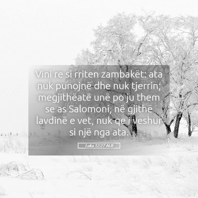 Picture 05 - Luka 12:27 ALB - Vini re si rriten zambakët: ata nuk punojnë dhe - Bible Verse Picture