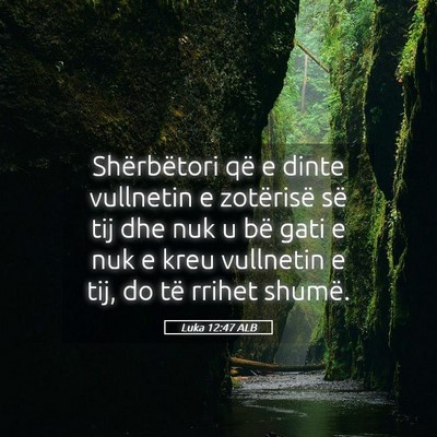 Picture 05 - Luka 12:47 ALB - Shërbëtori që e dinte vullnetin e zotërisë - Bible Verse Picture