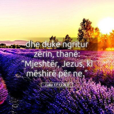Picture 05 - Luka 17:13 ALB - dhe duke ngritur zërin, thanë: “Mjeshtër, - Bible Verse Picture