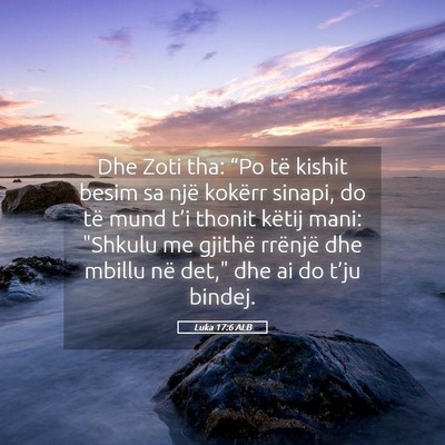 Picture 05 - Luka 17:6 ALB - Dhe Zoti tha: “Po të kishit besim sa një - Bible Verse Picture