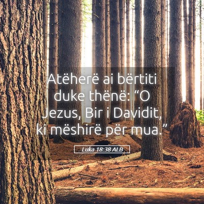 Picture 05 - Luka 18:38 ALB - Atëherë ai bërtiti duke thënë: “O Jezus, - Bible Verse Picture