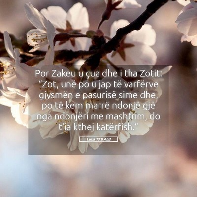 Picture 05 - Luka 19:8 ALB - Por Zakeu u çua dhe i tha Zotit: “Zot, unë po - Bible Verse Picture