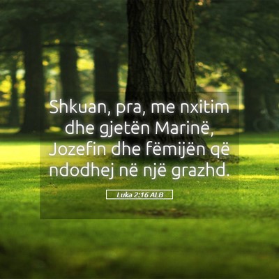 Picture 05 - Luka 2:16 ALB - Shkuan, pra, me nxitim dhe gjetën Marinë, - Bible Verse Picture