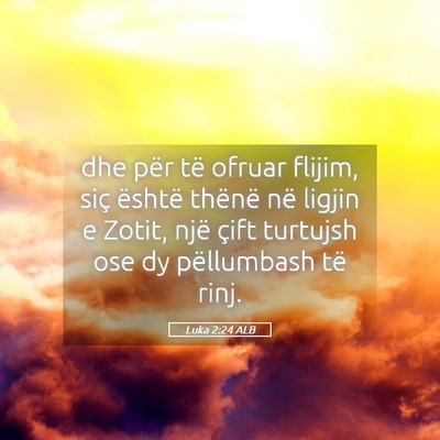 Picture 05 - Luka 2:24 ALB - dhe për të ofruar flijim, siç është thënë - Bible Verse Picture
