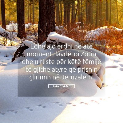 Picture 05 - Luka 2:38 ALB - Edhe ajo erdhi në atë moment, lavdëroi Zotin - Bible Verse Picture