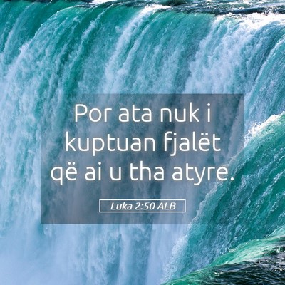Picture 05 - Luka 2:50 ALB - Por ata nuk i kuptuan fjalët që ai u tha - Bible Verse Picture