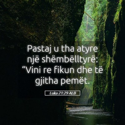 Picture 05 - Luka 21:29 ALB - Pastaj u tha atyre një shëmbëlltyrë: “Vini - Bible Verse Picture