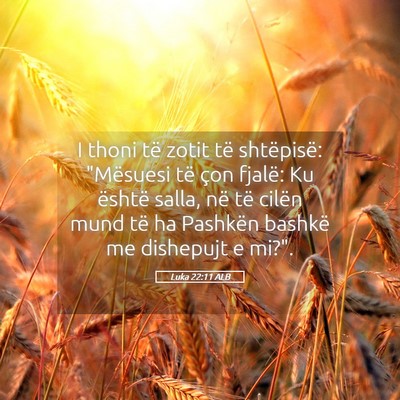 Picture 05 - Luka 22:11 ALB - I thoni të zotit të shtëpisë: 