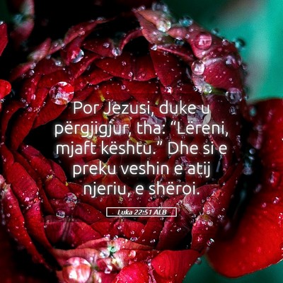 Picture 05 - Luka 22:51 ALB - Por Jezusi, duke u përgjigjur, tha: “Lëreni, - Bible Verse Picture