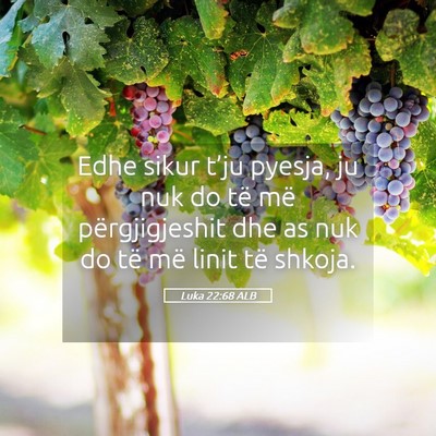 Picture 05 - Luka 22:68 ALB - Edhe sikur t’ju pyesja, ju nuk do të më - Bible Verse Picture