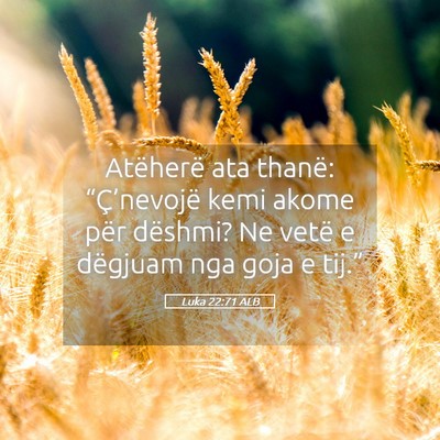 Picture 05 - Luka 22:71 ALB - Atëherë ata thanë: “Ç’nevojë kemi akome - Bible Verse Picture