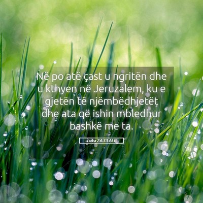 Picture 05 - Luka 24:33 ALB - Në po atë çast u ngritën dhe u kthyen në - Bible Verse Picture