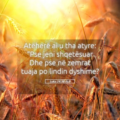 Picture 05 - Luka 24:38 ALB - Atëherë ai u tha atyre: “Pse jeni shqetësuar - Bible Verse Picture