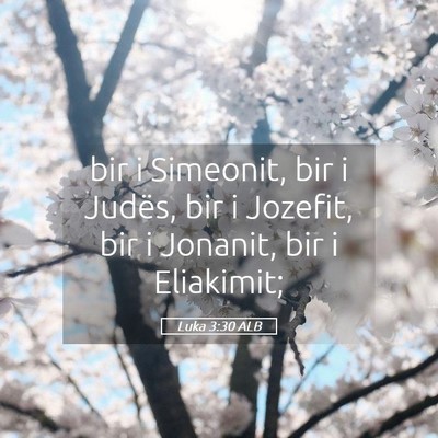 Picture 05 - Luka 3:30 ALB - bir i Simeonit, bir i Judës, bir i Jozefit, bir - Bible Verse Picture