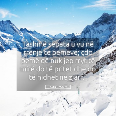 Picture 05 - Luka 3:9 ALB - Tashmë sëpata u vu në rrënjë të pemëve; - Bible Verse Picture