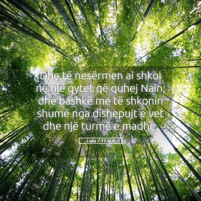 Picture 05 - Luka 7:11 ALB - Dhe të nesërmen ai shkoi në një qytet që - Bible Verse Picture