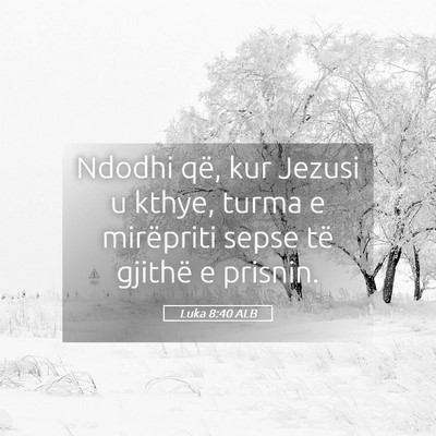 Picture 05 - Luka 8:40 ALB - Ndodhi që, kur Jezusi u kthye, turma e - Bible Verse Picture